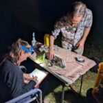 Platypus population expands to 20 in Royal National Park: latest survey